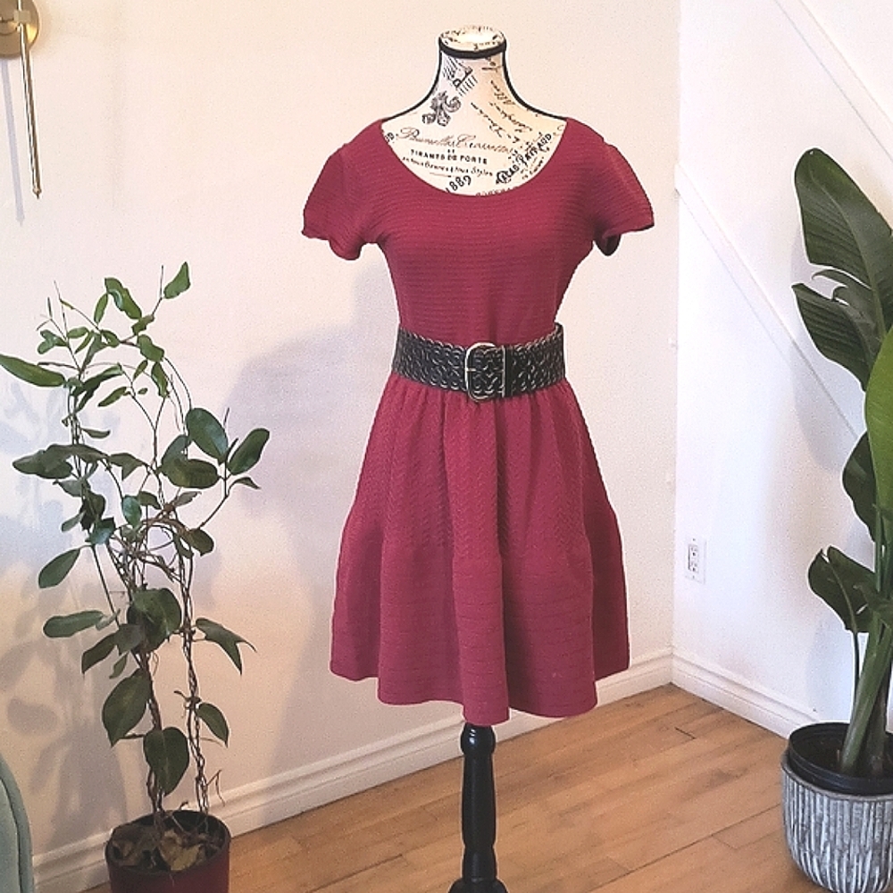 Sandro Midi dress. Size large. Beautifully Braided Red Midi Dress.